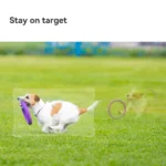 Cruiser SC (3MP) - Image 5